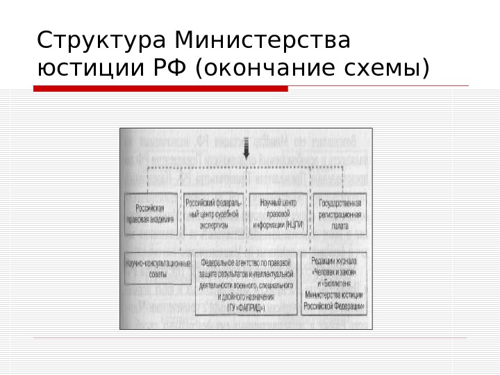 Структура минюста россии схема