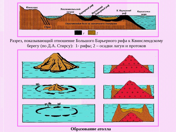 Образование атолла схема