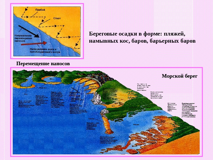 Виды морских берегов презентация