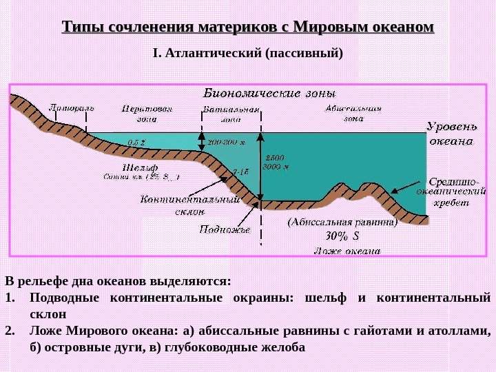 Соотнеси элементы рельефа дна океана с точками на изображении