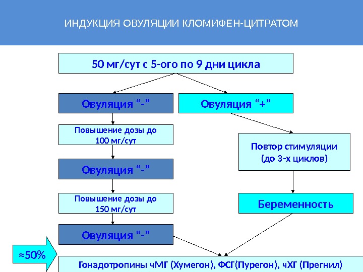 Стимуляция овуляции в естественном цикле схема