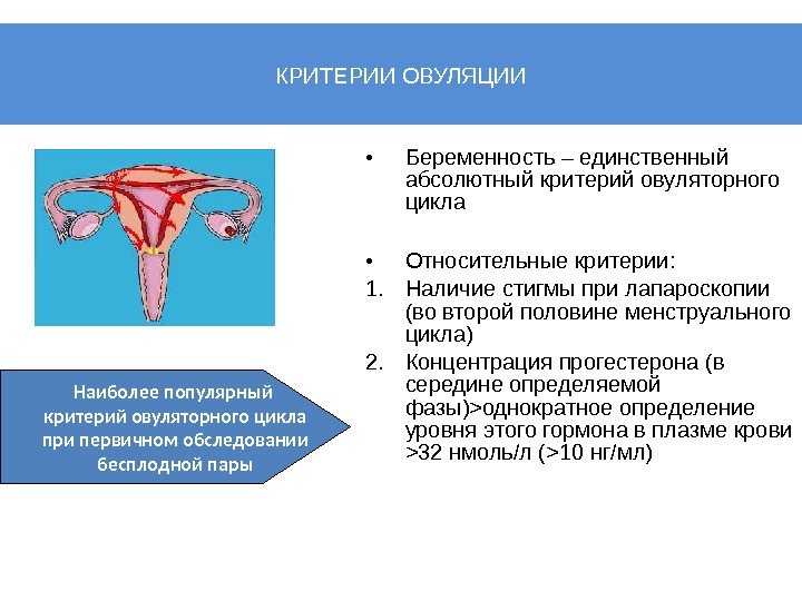 Относительный критерий. Критерий двухфазного менструального цикла:. Клинические критерии овуляции.