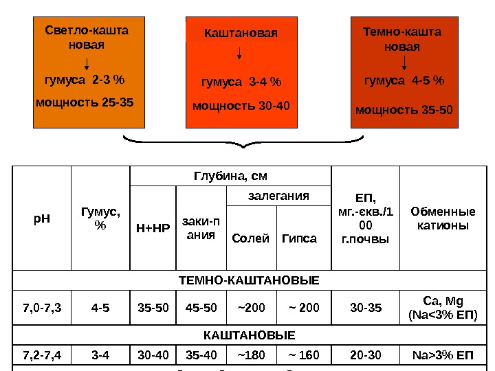 Презентация на тему каштановые почвы