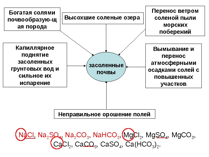 Презентация на тему каштановые почвы