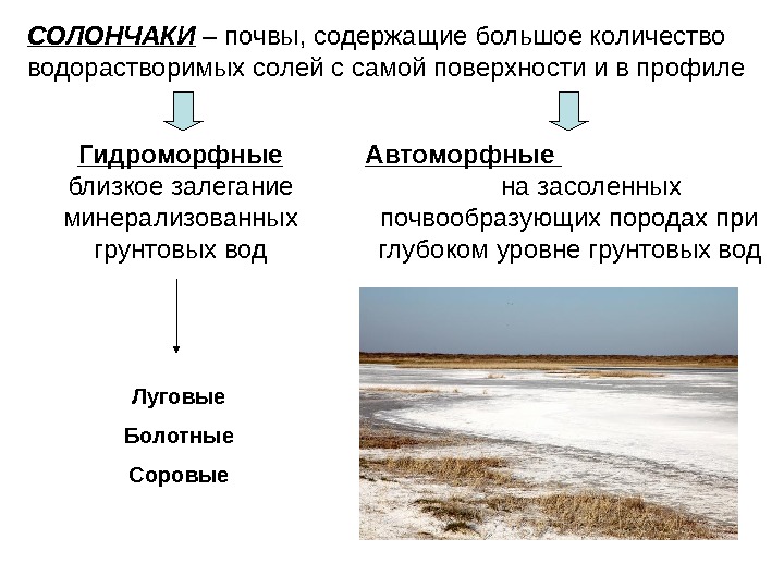 Презентация засоление почв