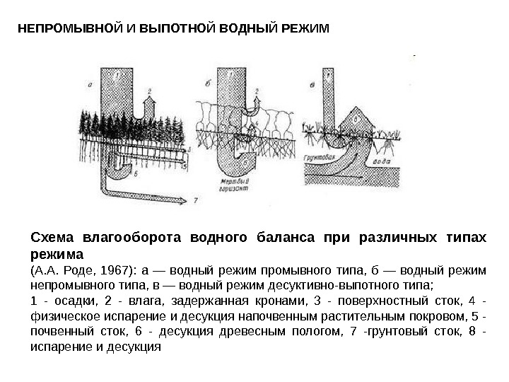 Презентация на тему каштановые почвы