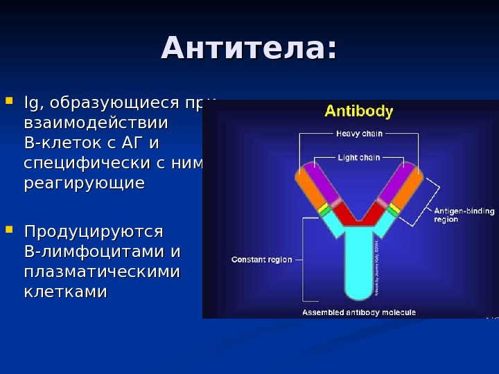 Патологии влагалища фото