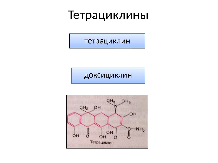 Презентация по фармакологии тетрациклины