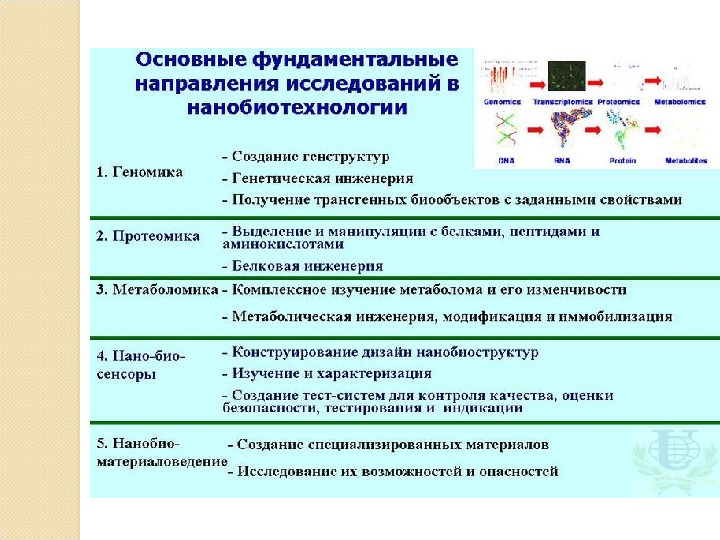 Биотехнология антибиотиков презентация