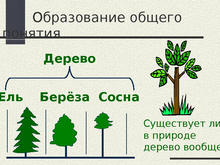 Понятие дерево