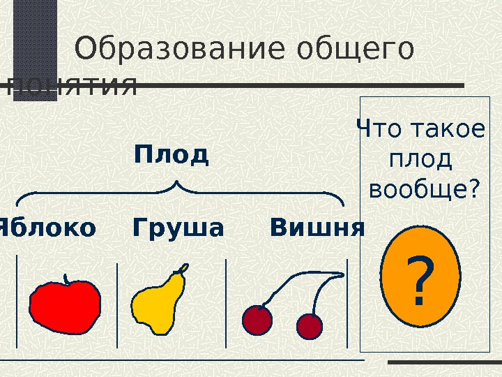 Что такое плод. Вишня и груша относятся к одному. Понятие яблоко для социологов.