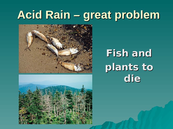 Acid rain перевод 7 класс. Acid Rain. Solve the problem of acid Rain. Кислотные дожди гибель рыбы. Acid Rain топик.