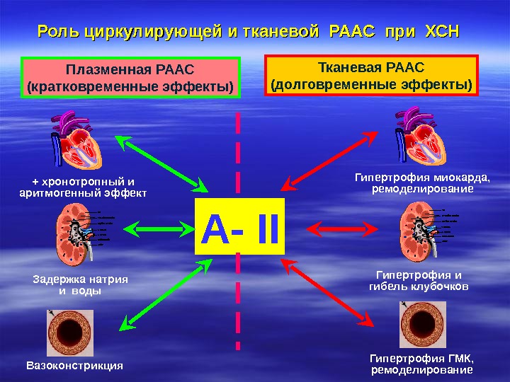 Аг презентация қазақша