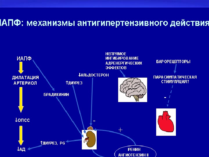 Аг лечение презентация