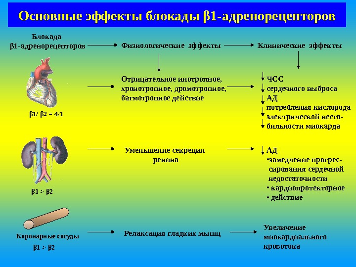 Релибаланс отзывы