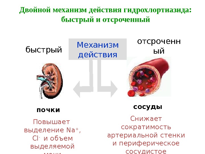 Повышенные действия. Диуретики при АГ механизм действия. Диуретики при артериальной гипертензии механизм действия. Диуретики механизм действия при гипертонической болезни. Гидрохлортиазид при гипертонии.