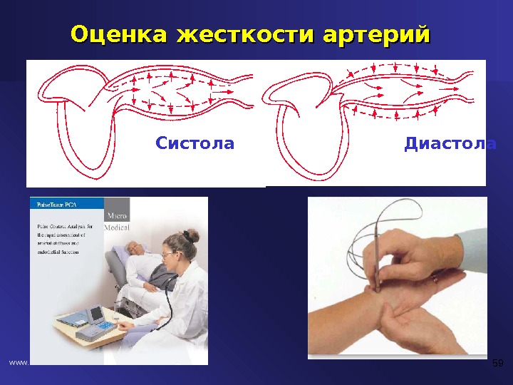 Аг презентация қазақша