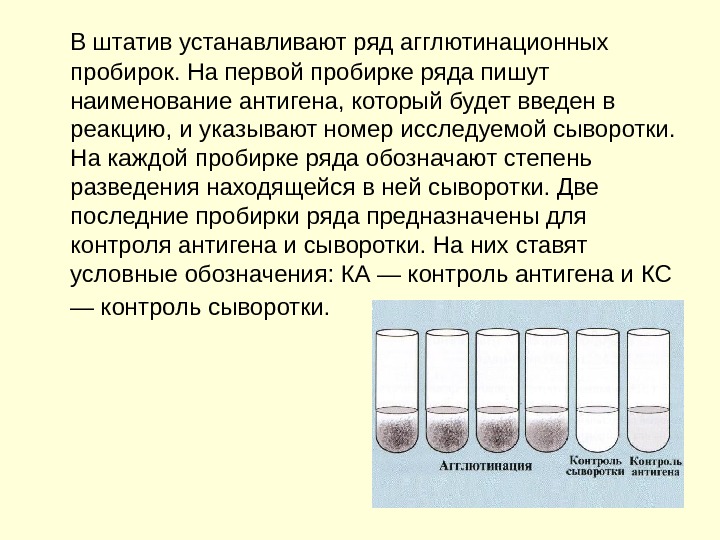 В четырех пробирках находятся. Пробирочная реакция агглютинации. Реакция агглютинации в пробирках. Учет реакции агглютинации. Порядок постановки реакции агглютинации в пробирке.