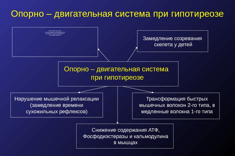 Двигательные системы презентация