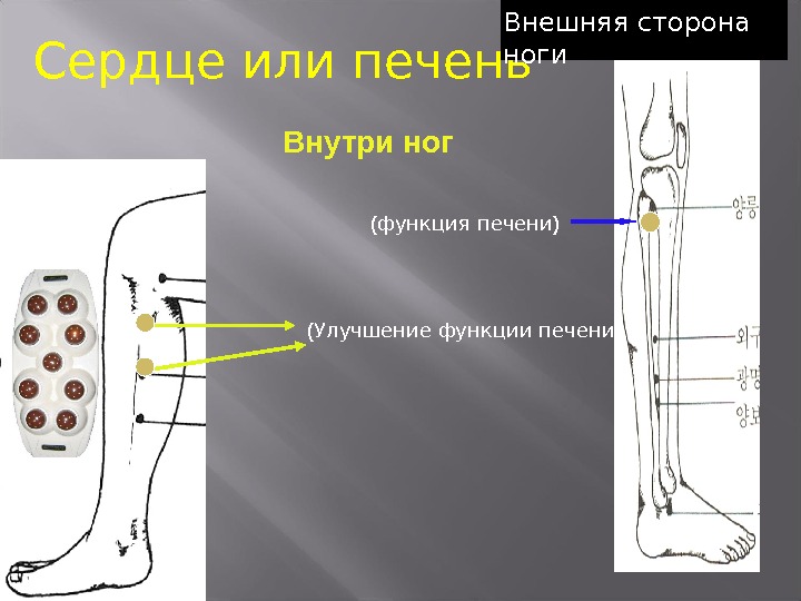 Внешняя сторона. Внешняя сторона стопы. Болит внешняя сторона голени.