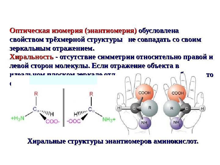 Правые и левые молекулы