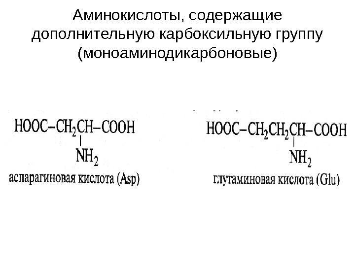 Аминокислоты содержат. Аминокислоты с 2 карбоксильными группами.