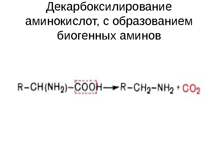 Декарбоксилирование аминокислот презентация