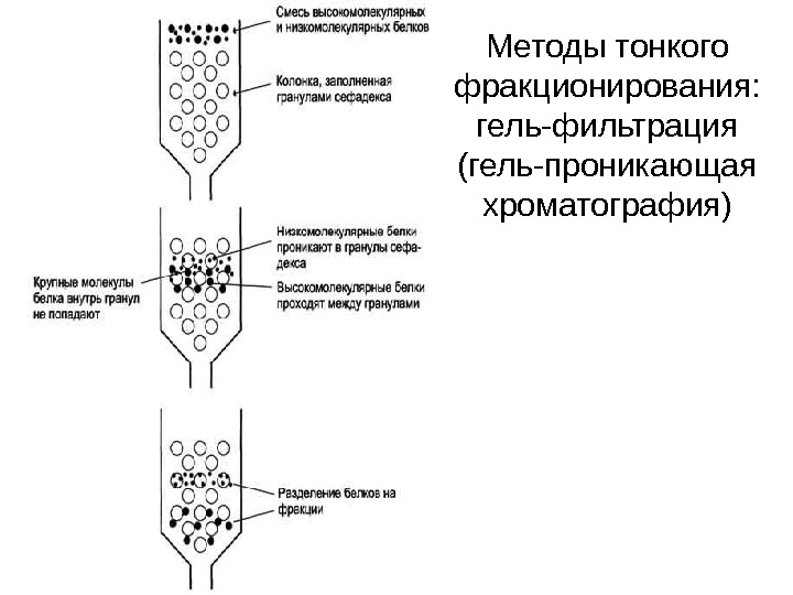 Гель проникающая хроматография презентация