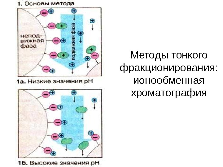 Ионообменная хроматография схема