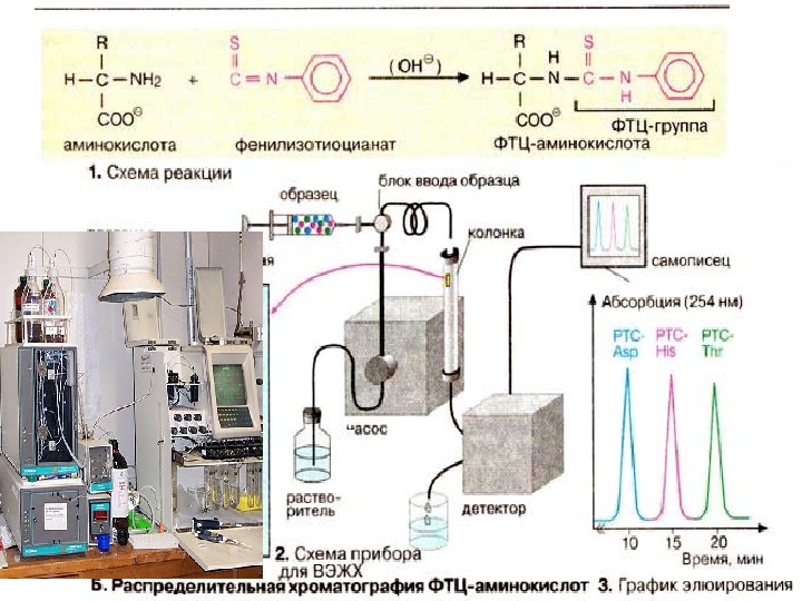 Ионообменная хроматография схема