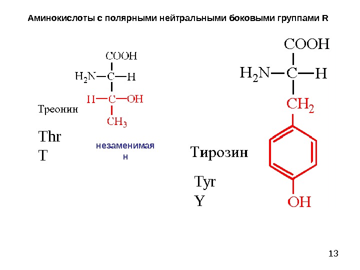 Сборка аминокислот. Thr аминокислота формула. Цис аминокислота. Нейтральные Полярные аминокислоты. Боковые группы аминокислот.