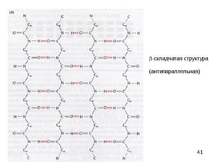 Складчатые структуры. Антипараллельная бета структура белка. Бета складчатая структура антипараллельная. Антипаралелльная бетаструтура. Параллельная и антипараллельная структура белка бета.