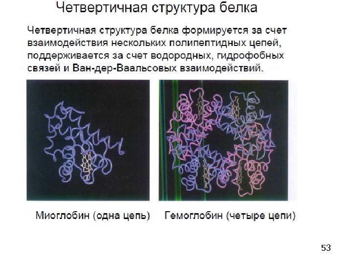 Четвертичная структура молекулы. Четвертичная структура белка формируется. Четвертичная структура белка образуется. Четвертичная структура белка образуется в результате взаимодействия. Четвертичная структура молекулы белка.