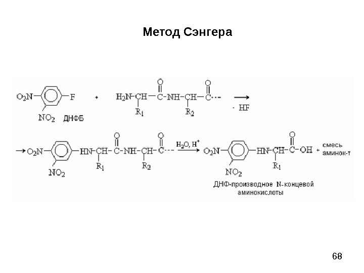 Конечный н. Методы определения n концевой аминокислоты. Реакция Сэнгер аминокислоты. Метод динитрофенилирования Сенгера. Метод Сэнгера реакция.