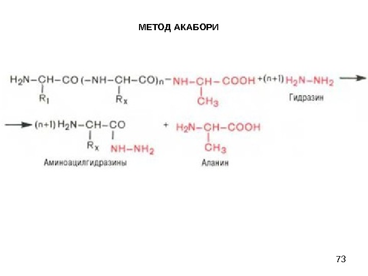 Концевые аминокислоты. Методы определения с-концевых аминокислот:. Метод акабори. Методы определения c концевых аминокислот. С концевая аминокислота.