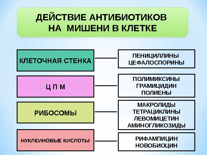 Действие антибиотиков. Механизм действия антибиотиков: «мишени». Мишени бактериальной клетки для антибиотиков. Классификация и мишени в клетке для антибиотиков. Мишени для антибиотиков в прокариотической клетке.