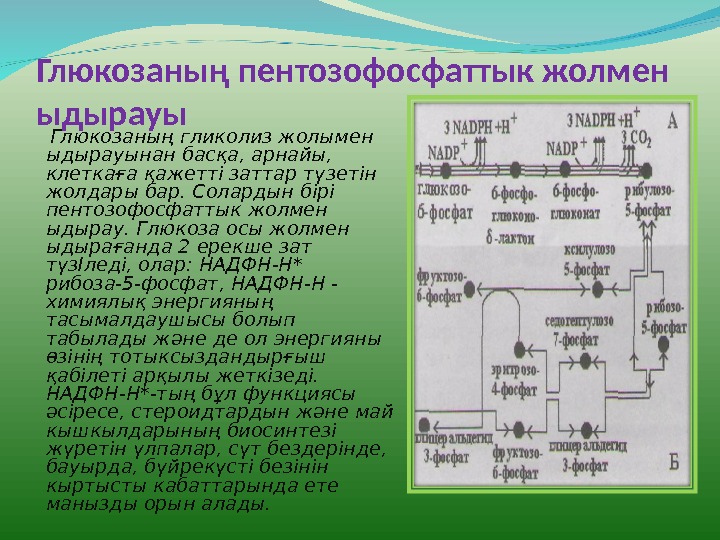 аспалы жолмен көтерілдік