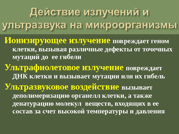 Изменение остроты слуха в зависимости от возраста и влияния факторов внешней среды презентация