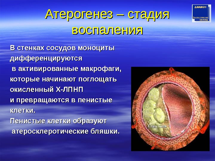 Стенка желчного капилляра образована