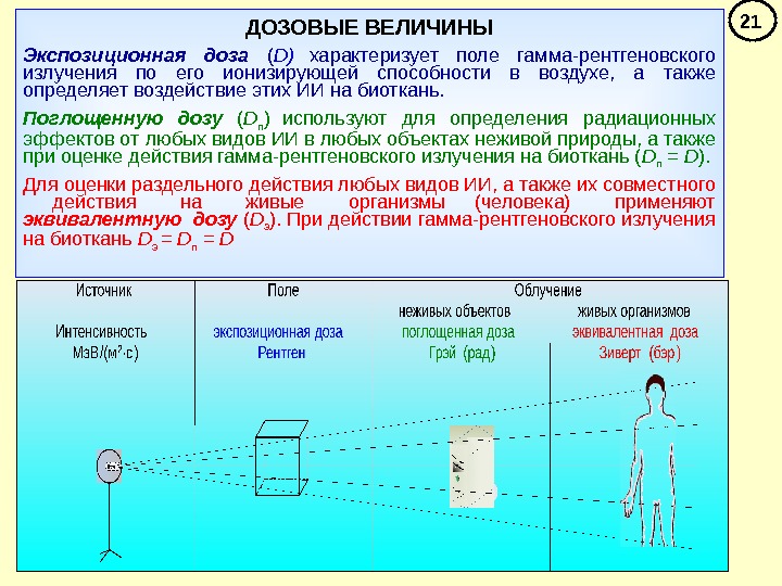 Влияние на живые организмы гамма излучения. Мощность ионизирующего излучения. Единицы измерения ионизирующего излучения.