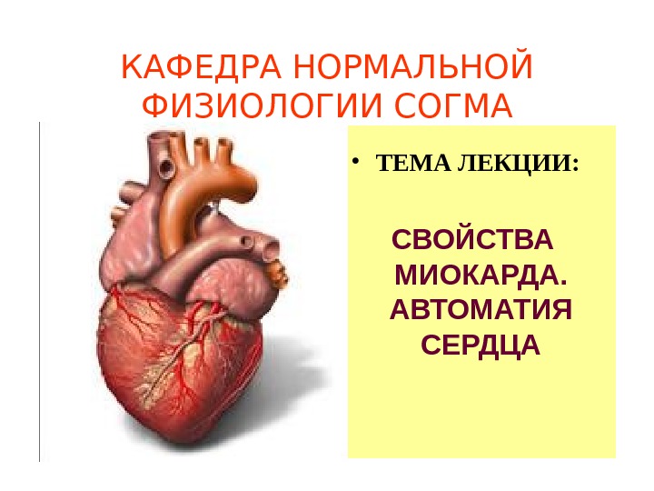 Презентация АВТОМАТИЯ