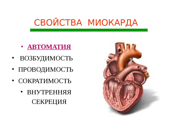 Презентация АВТОМАТИЯ
