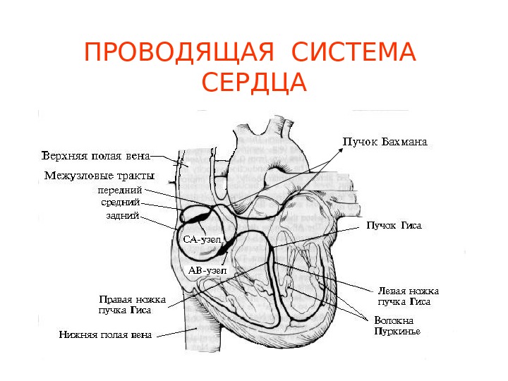 Презентация АВТОМАТИЯ