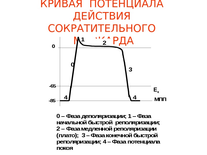 Презентация АВТОМАТИЯ
