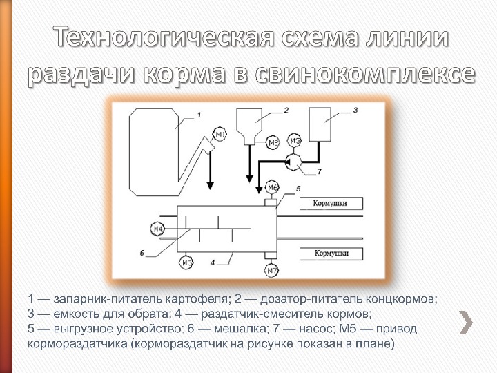 Технологическая схема раздачи кормов