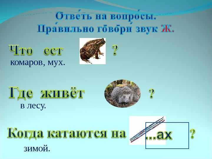 Презентация звук ж. Автоматизация звука ж презентация. По ежика автоматизация ж. Жа жа жа мы нашли в лесу ежа. Жа жа мы нашли в лесу ежа логопедические.