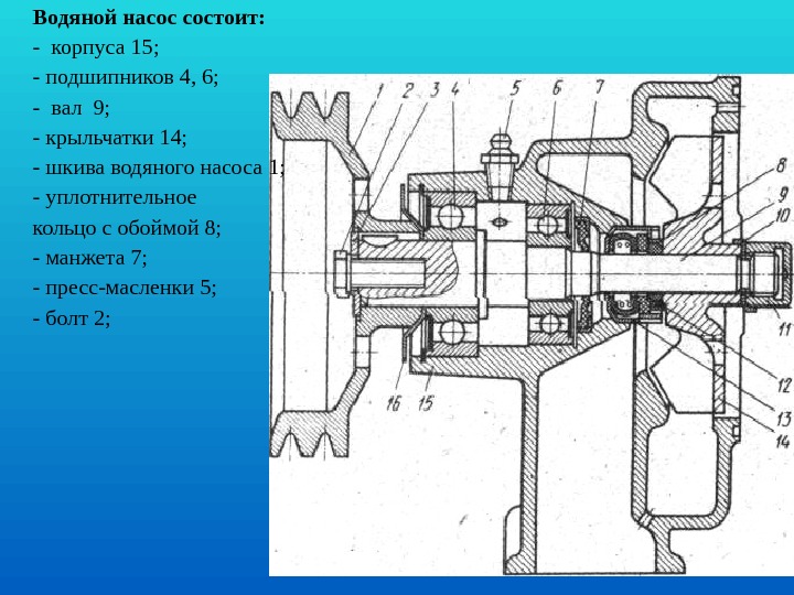 Схема водяного насоса