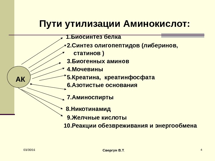 Общая схема источников и путей утилизации аминокислот в тканях