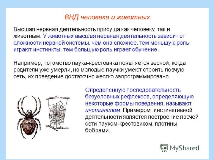 Презентация безусловные и условные рефлексы 8 класс