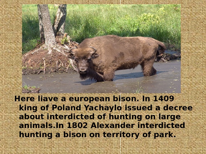 BIA OWIE A NATIONALPARK WIKIPEDIA visual data 2